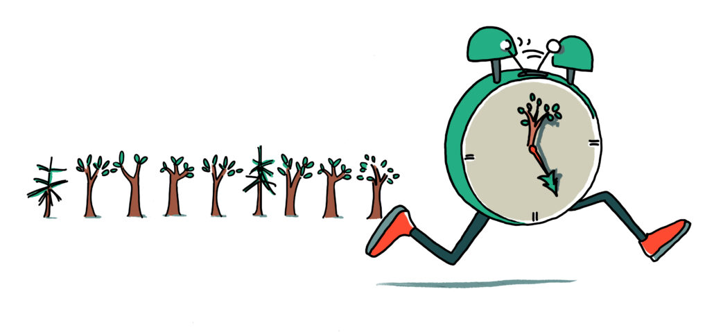 LFV-Motiv schnelle Wiederaufforstung- Illustration Miriam Awe
