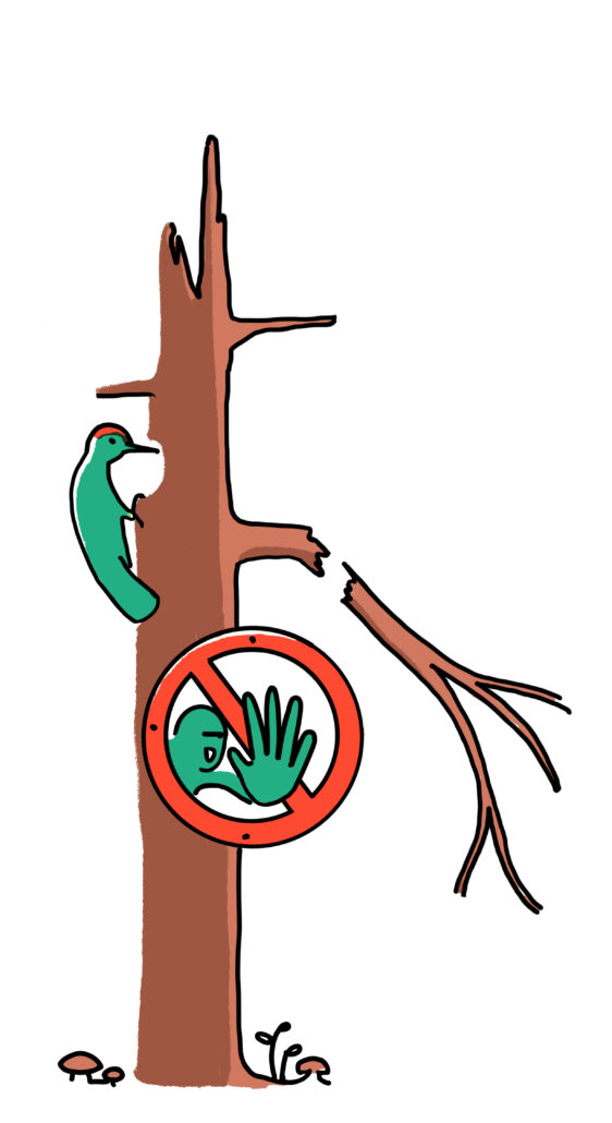 LFV Illustration Achtung Dürrständer-Bäume die abgestorben sind