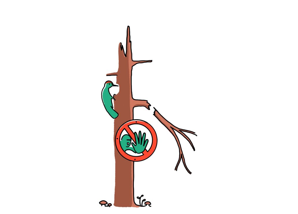 Illustration Dürrständer (Privatwaldbesitzer)