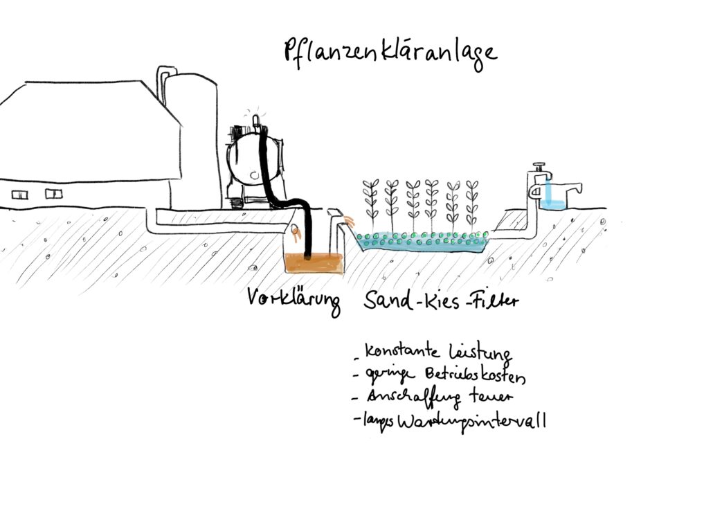 infografik Pflanzenkläranlage Copyright Miriam Awe