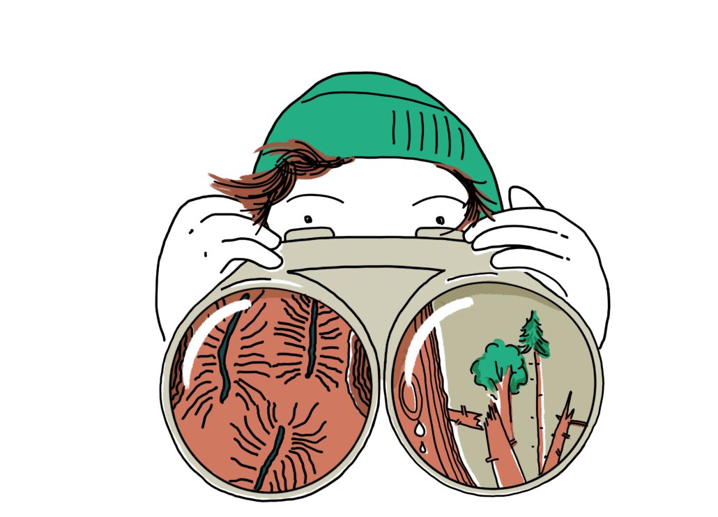 LFV Schadensanalyse- Illustration Miriam Awe